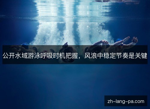 公开水域游泳呼吸时机把握，风浪中稳定节奏是关键