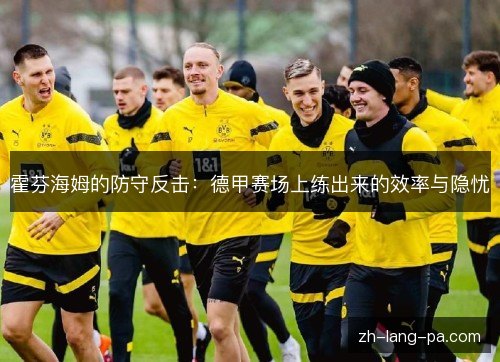 霍芬海姆的防守反击：德甲赛场上练出来的效率与隐忧